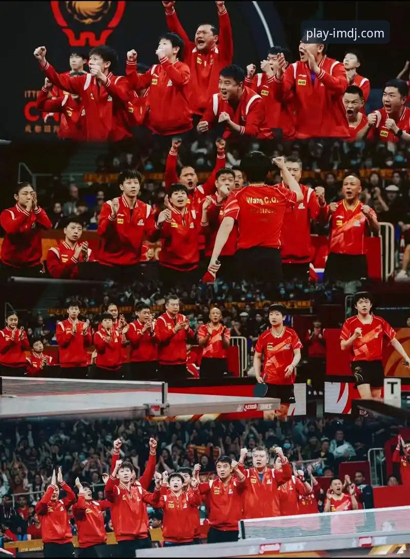 如何从一场CBA爆冷战中洞察竞技体育的残酷与魅力？